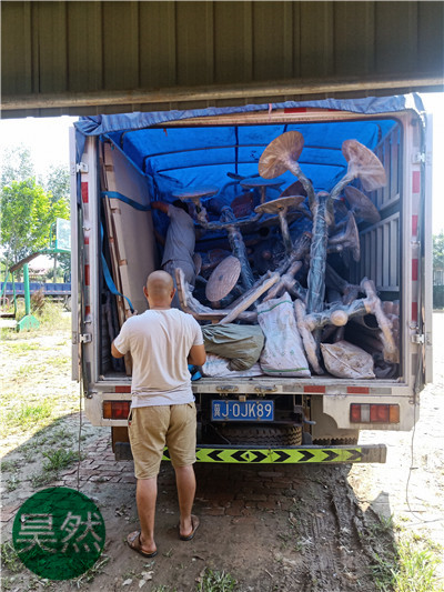 河南客戶定做的精致戶外健身器材 河南客戶定做的精致戶外健身器材